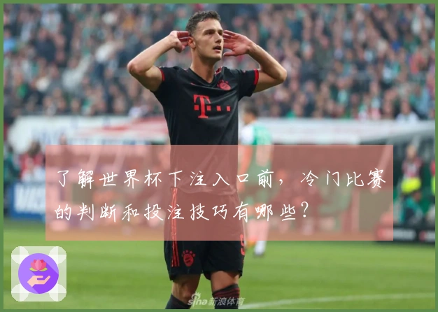 了解世界杯下注入口前，冷门比赛的判断和投注技巧有哪些？