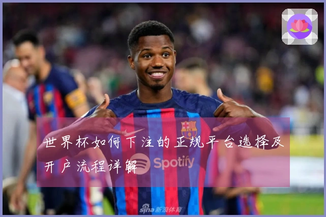 世界杯如何下注的正规平台选择及开户流程详解