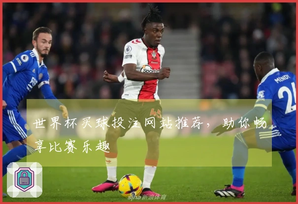 世界杯买球投注网站推荐，助你畅享比赛乐趣