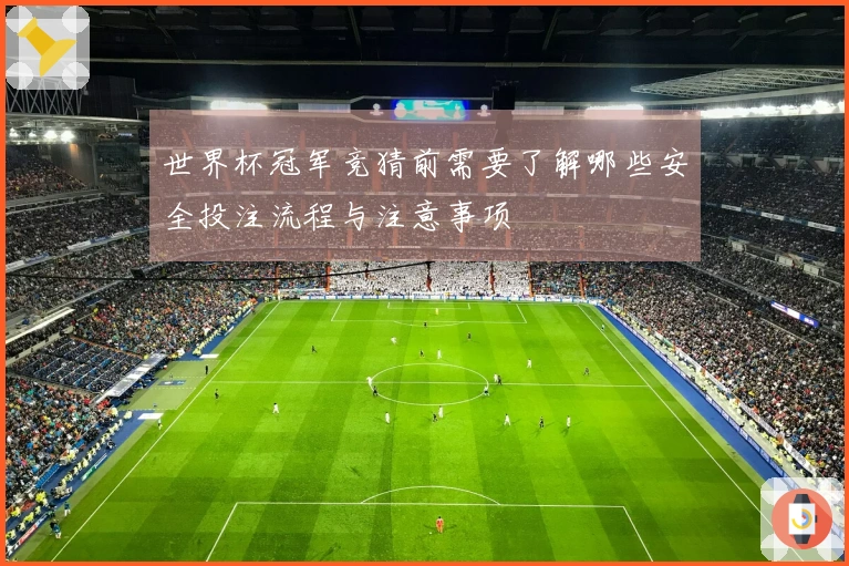 世界杯冠军竞猜前需要了解哪些安全投注流程与注意事项