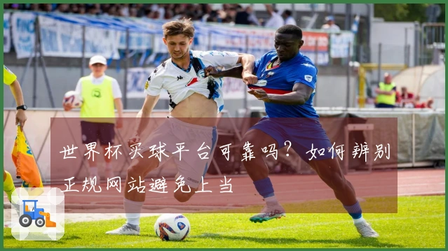 世界杯买球平台可靠吗？如何辨别正规网站避免上当
