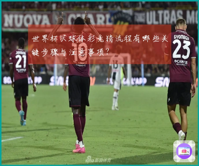 世界杯买球体彩竞猜流程有哪些关键步骤与注意事项？
