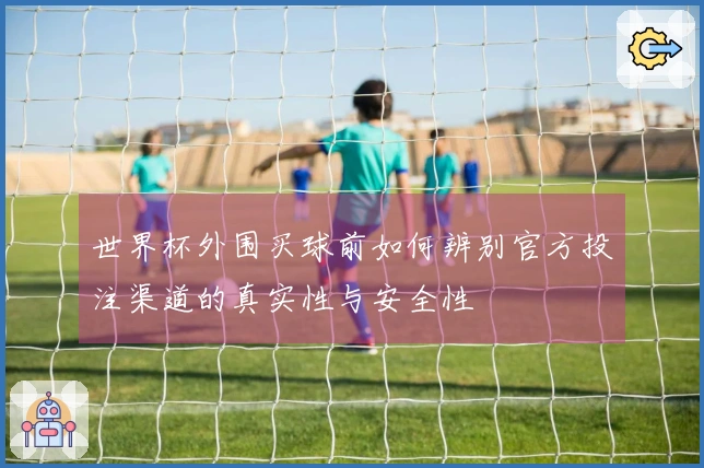 世界杯外围买球前如何辨别官方投注渠道的真实性与安全性
