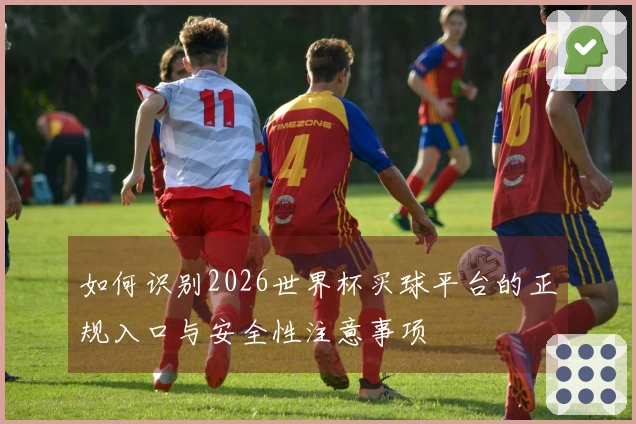 如何识别2026世界杯买球平台的正规入口与安全性注意事项