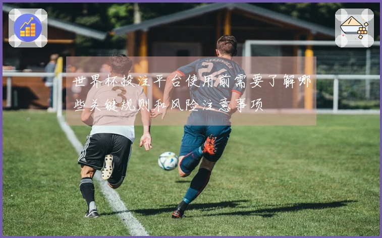 世界杯投注平台使用前需要了解哪些关键规则和风险注意事项