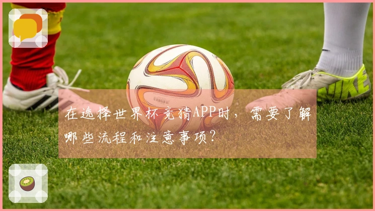 在选择世界杯竞猜APP时，需要了解哪些流程和注意事项？