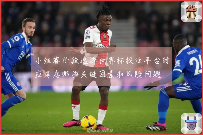 小组赛阶段选择世界杯投注平台时应考虑哪些关键因素和风险问题