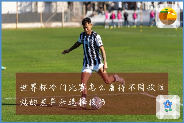 世界杯冷门比赛怎么看待不同投注站的差异和选择技巧