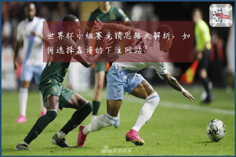 世界杯小组赛竞猜思路大解析，如何选择靠谱的下注网站？