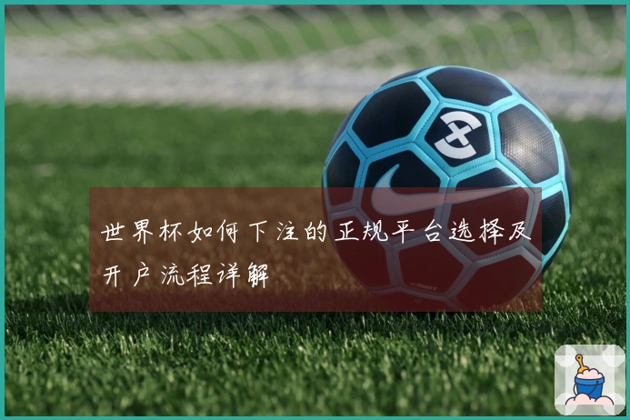 世界杯如何下注的正规平台选择及开户流程详解