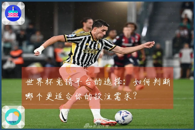 世界杯竞猜平台的选择：如何判断哪个更适合你的投注需求？