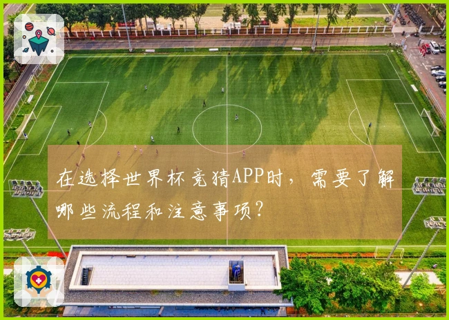 在选择世界杯竞猜APP时，需要了解哪些流程和注意事项？