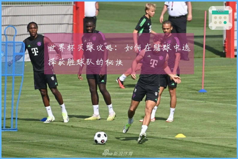 世界杯买球攻略：如何在赌球中选择获胜球队的秘诀