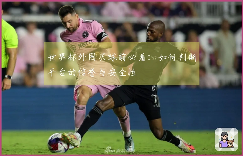 世界杯外围买球前必看：如何判断平台的信誉与安全性