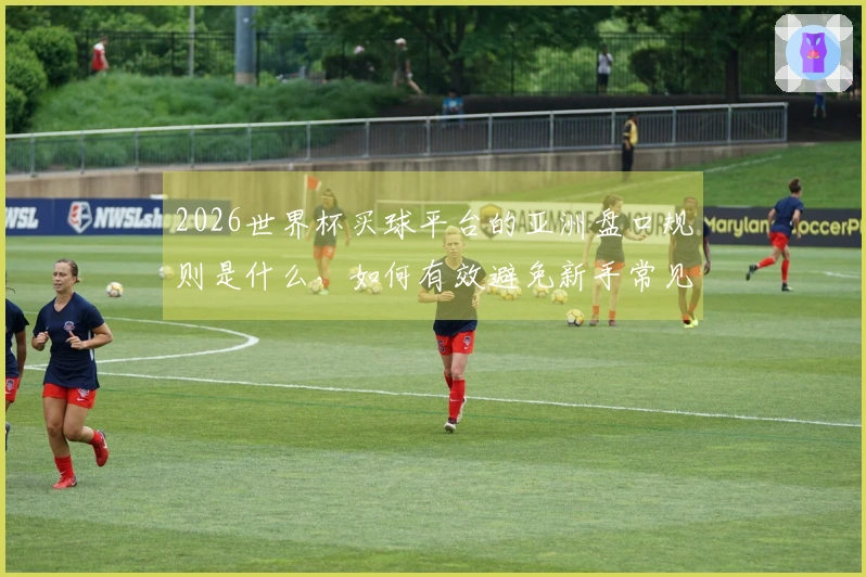 2026世界杯买球平台的亚洲盘口规则是什么，如何有效避免新手常见误区？