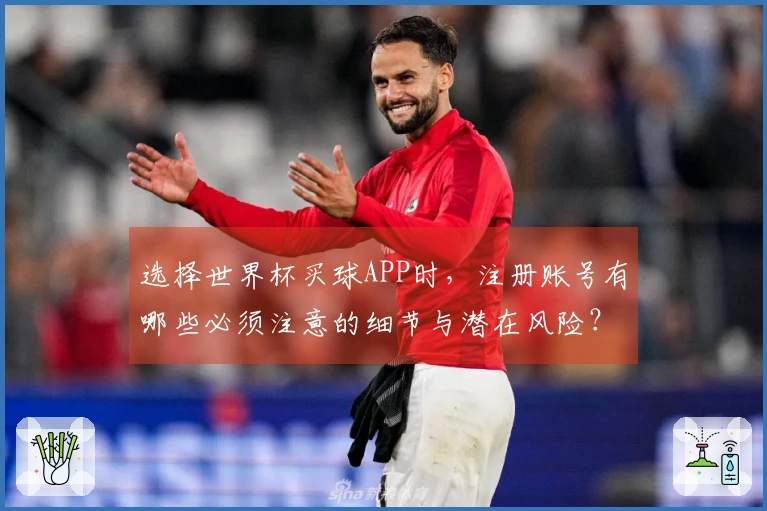 选择世界杯买球APP时，注册账号有哪些必须注意的细节与潜在风险？