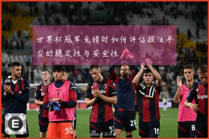 世界杯冠军竞猜时如何评估投注平台的稳定性与安全性