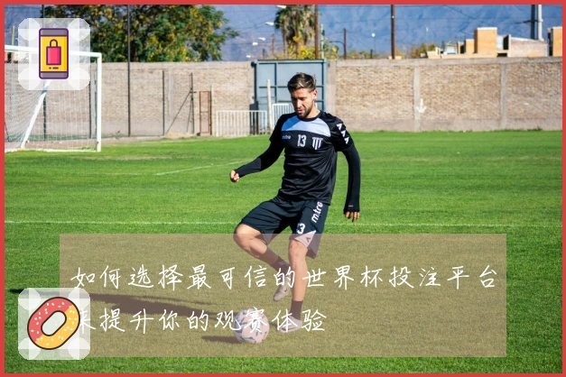 如何选择最可信的世界杯投注平台来提升你的观赛体验