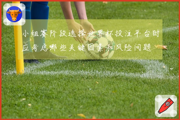 小组赛阶段选择世界杯投注平台时应考虑哪些关键因素和风险问题