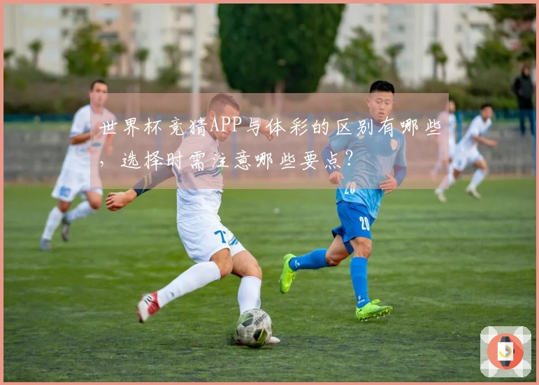 世界杯竞猜APP与体彩的区别有哪些，选择时需注意哪些要点？